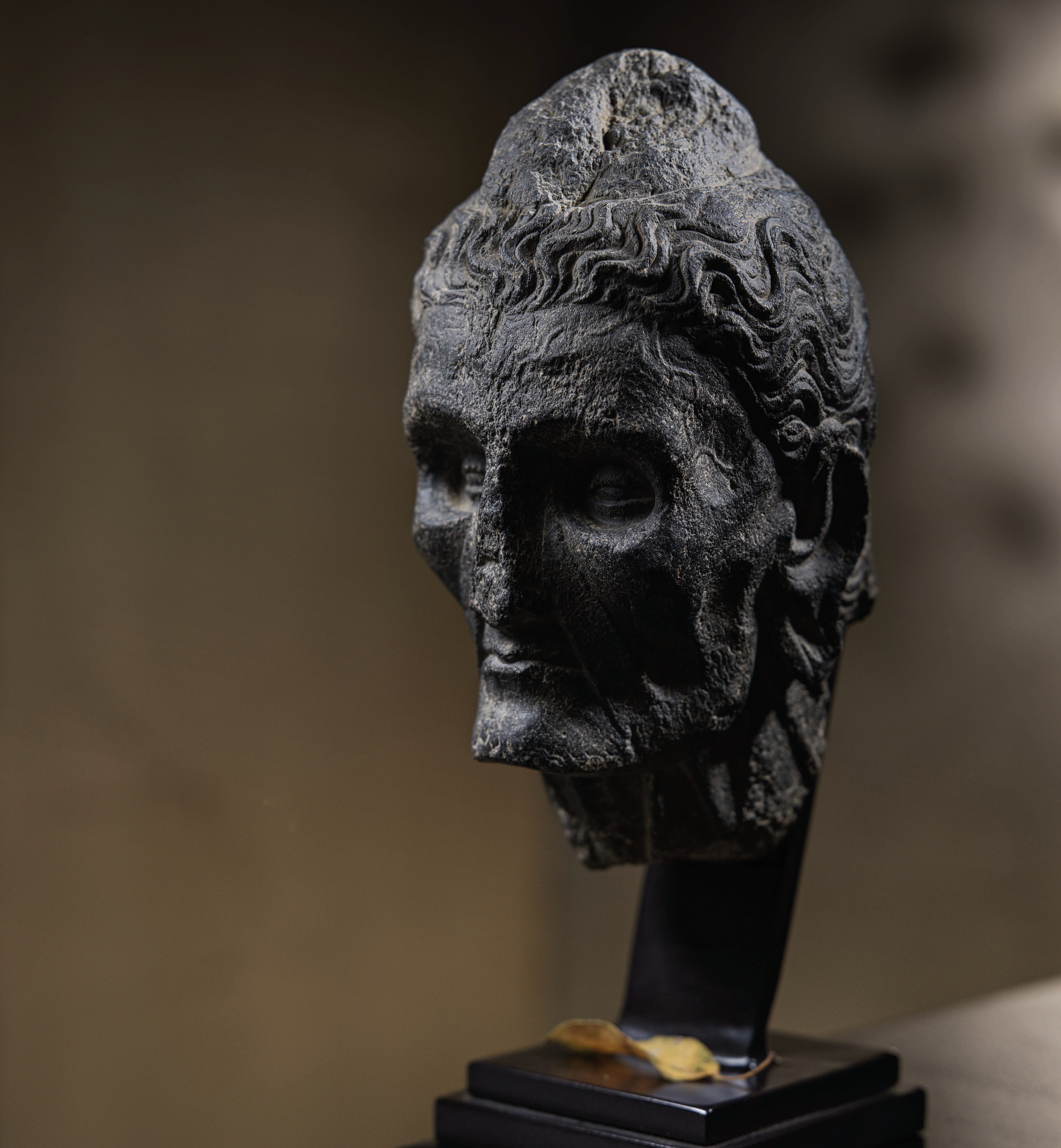 苦修佛首 Head of the Fasting Buddha (Siddhartha in Ascetic Practice)