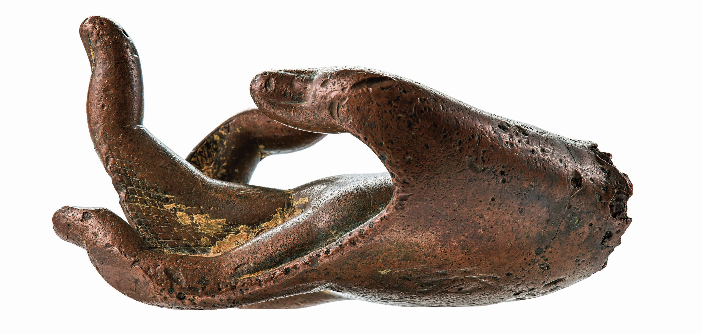 佛手 Hand of a Buddha