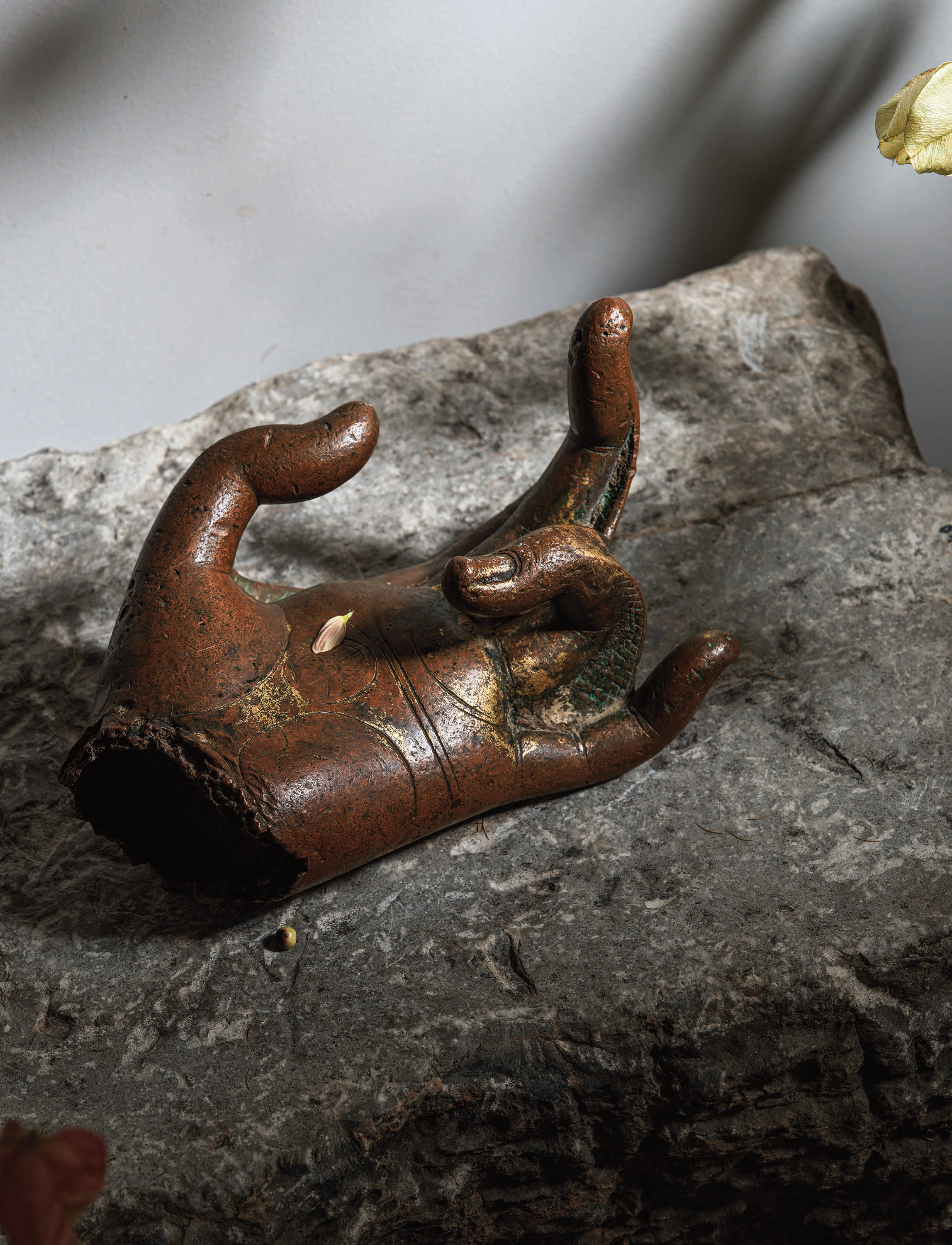 佛手 Hand of a Buddha