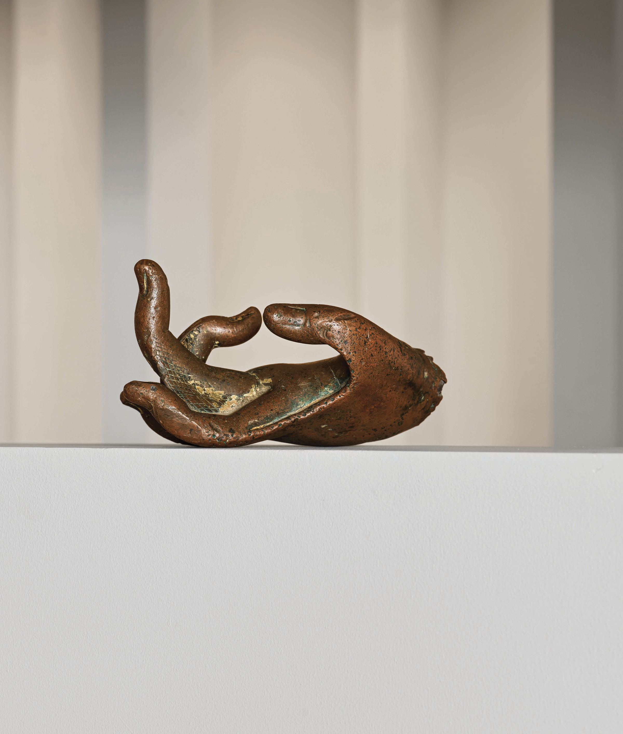 佛手 Hand of a Buddha
