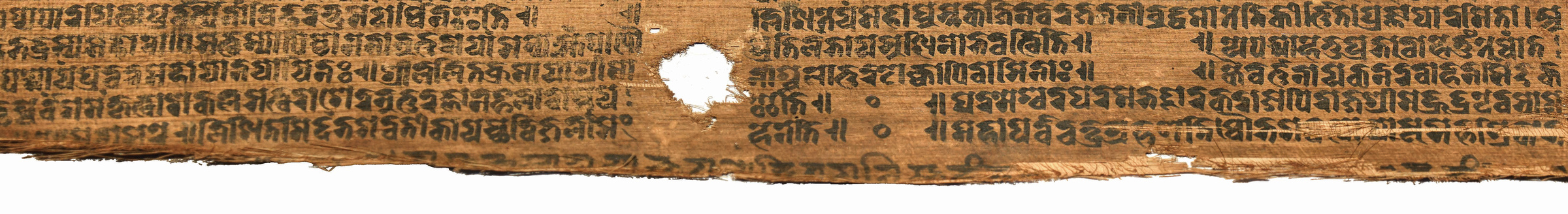 八千颂般若贝叶经 Aṣṭasāhasrikā Prajñāpāramitā on a Palm-Leaf Manuscript