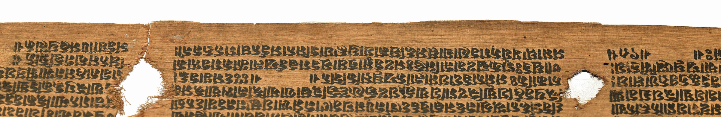 八千颂般若贝叶经 Aṣṭasāhasrikā Prajñāpāramitā on a Palm-Leaf Manuscript