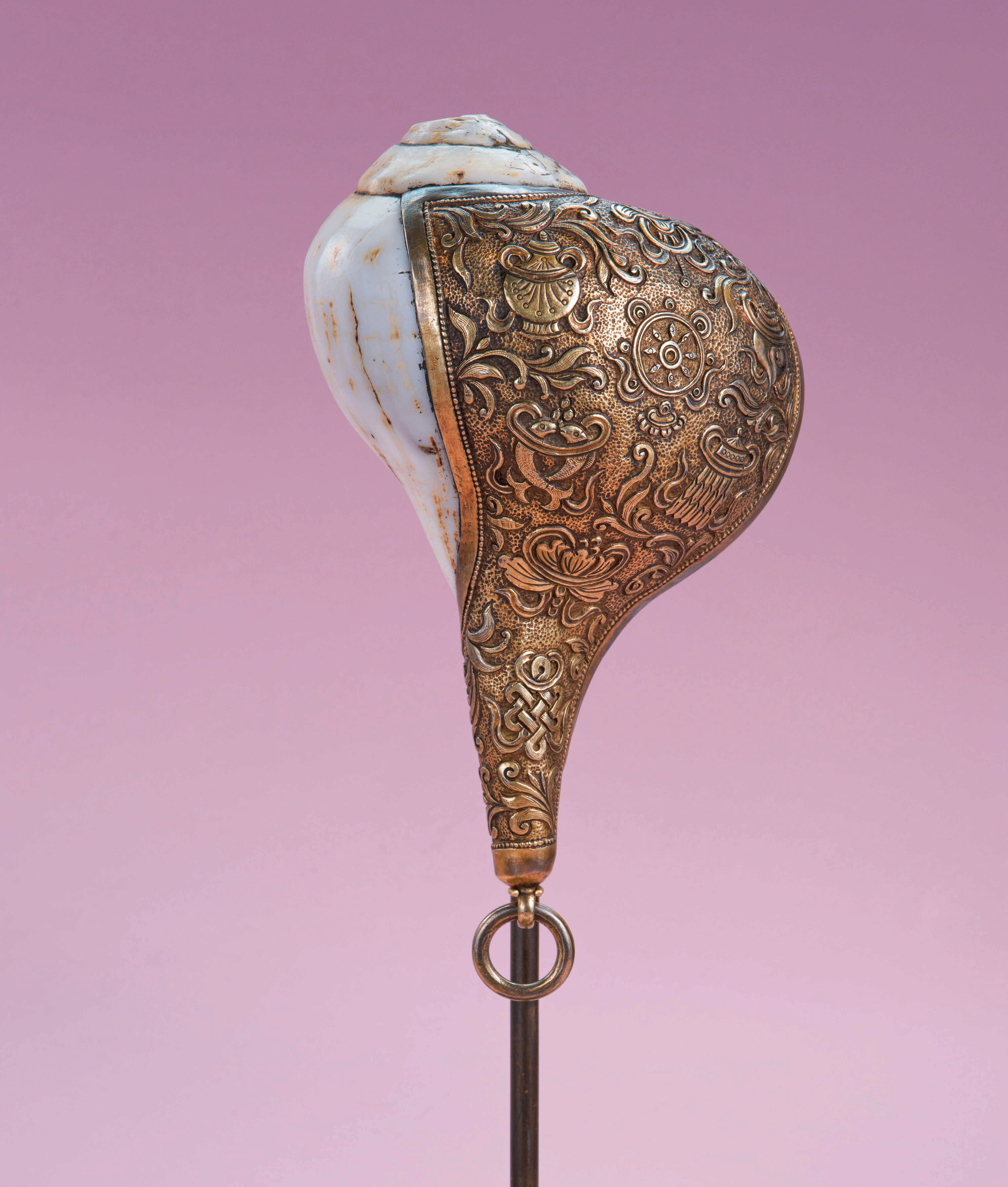 右旋法螺 Right-Coiling Conch Shell (Dakshinavarta Shankha)