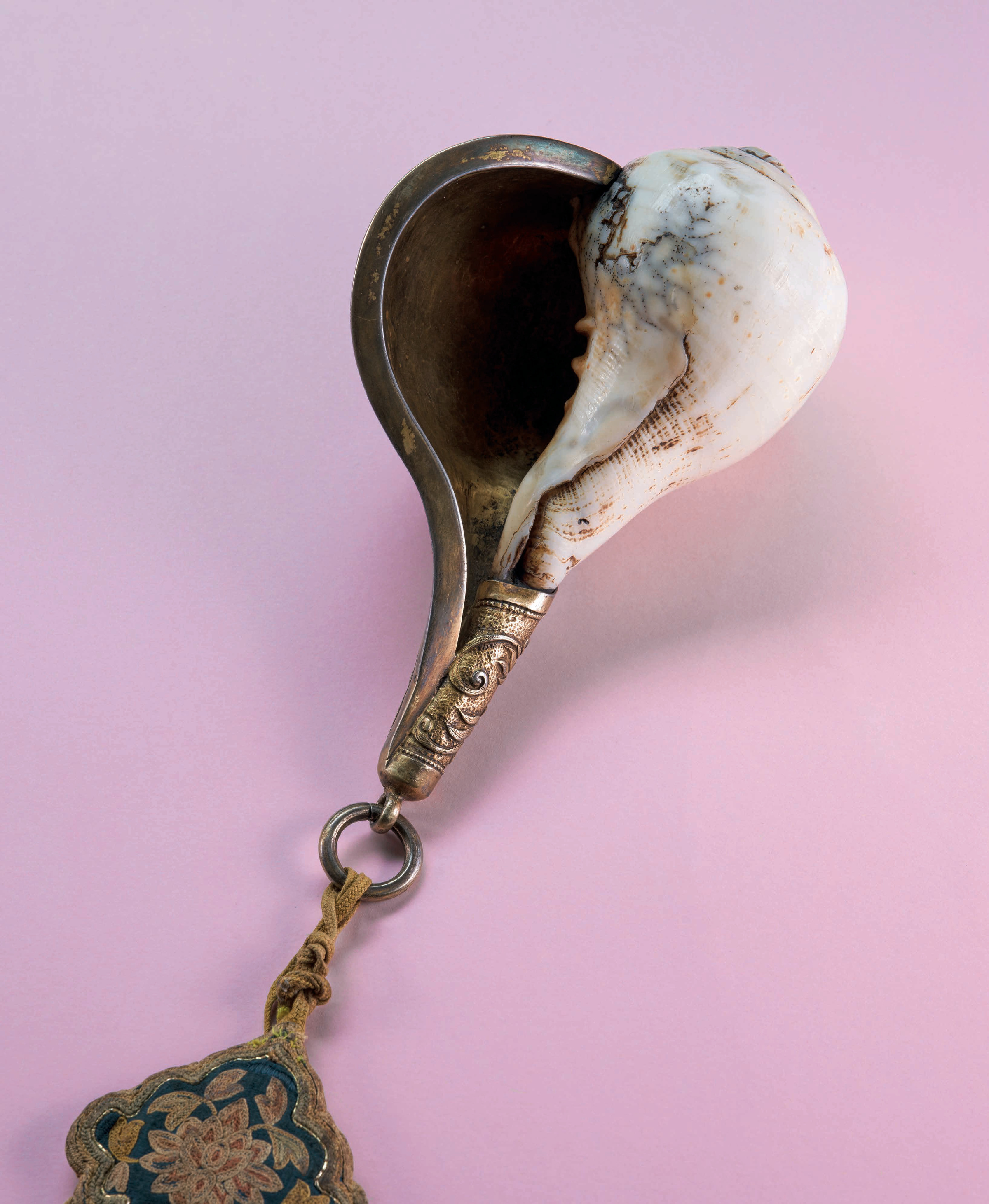 右旋法螺 Right-Coiling Conch Shell (Dakshinavarta Shankha)