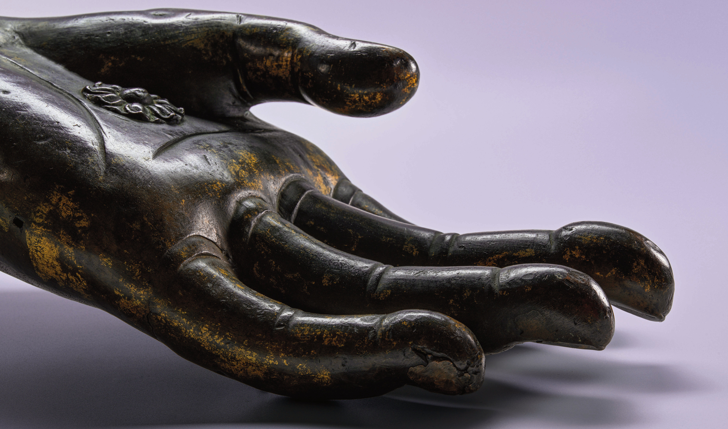佛手 Buddha's Hand