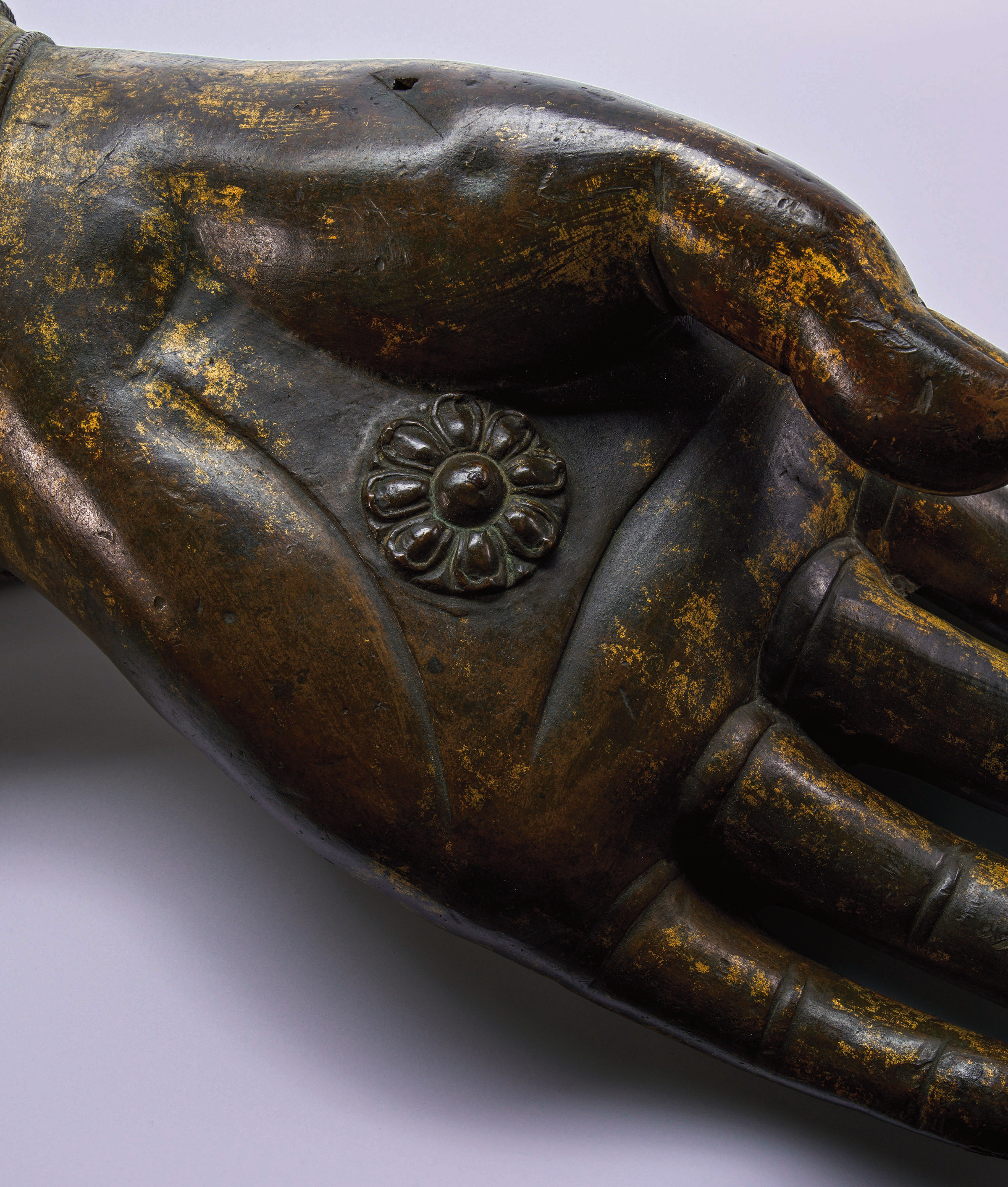 佛手 Buddha's Hand